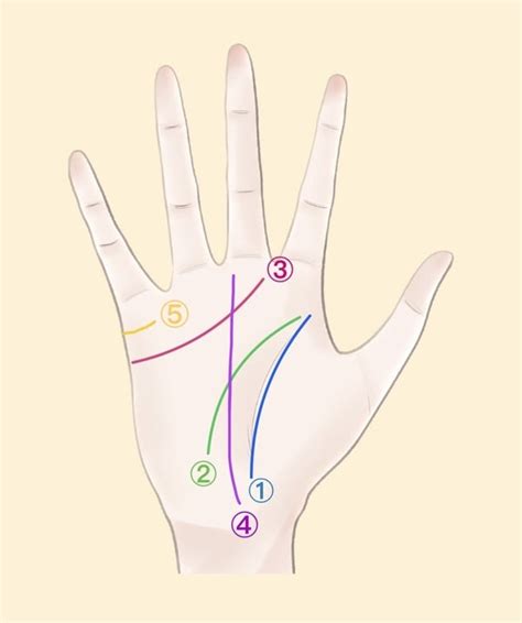 感情線上方的線|手相怎麼看？5大「感情線、事業線」手紋公式破解，。